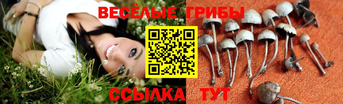 Псилоцибиновые грибы GOLDEN TEACHER Лангепас